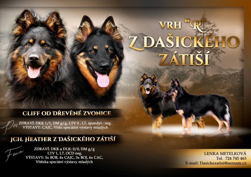 letacek-z-dasickeho-zatisi-zmenseny.jpg